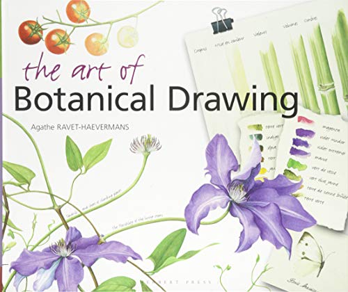 Stock image for The Art of Botanical Drawing for sale by Blackwell's