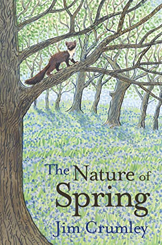 Beispielbild fr The Nature of Spring (Seasons) zum Verkauf von AwesomeBooks