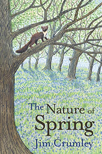 Imagen de archivo de The Nature of Spring (Seasons): 3 a la venta por WorldofBooks