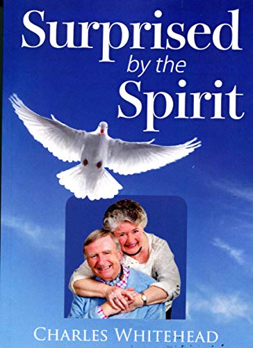 9781912237227: Surprised by the Spirit