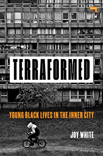 Stock image for Terraformed: Young Black Lives in the Inner City for sale by AwesomeBooks