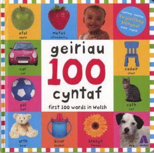 Imagen de archivo de 100 Geiriau Cyntaf/ First 100 Words in Welsh a la venta por WorldofBooks