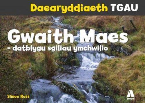 Stock image for Gwaith Maes: Datblygu Sgiliau Ymchwilio for sale by Revaluation Books