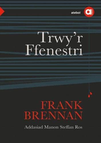 Beispielbild fr Cyfres Amdani: Trwy'r Ffenestri (Welsh Edition) zum Verkauf von MusicMagpie
