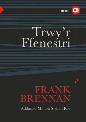 Stock image for Cyfres Amdani: Trwy'r Ffenestri for sale by Goldstone Books