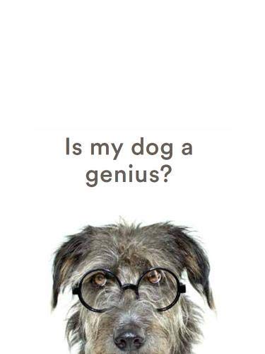 Stock image for Is My Dog a Genius for sale by Hawking Books