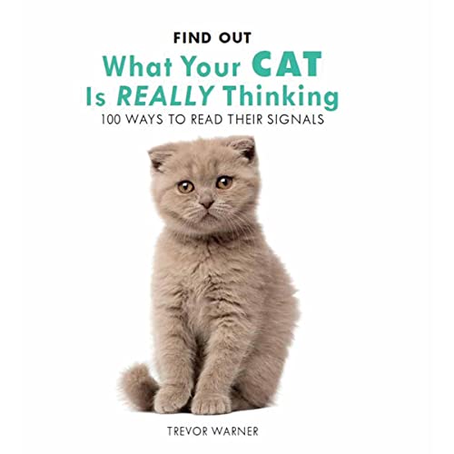 Stock image for Find Out What Your Cat is Really Thinking: 100 Ways to Read Their Signals for sale by WorldofBooks