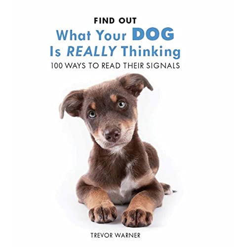 Stock image for Find Out What Your Dog is Really Thinking: 100 Ways to Read Thier Signals for sale by WorldofBooks