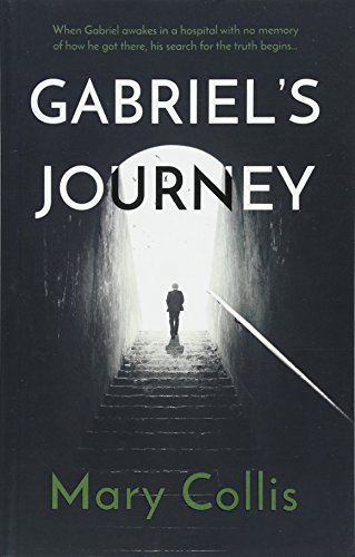 Stock image for Gabriel's Journey for sale by WorldofBooks