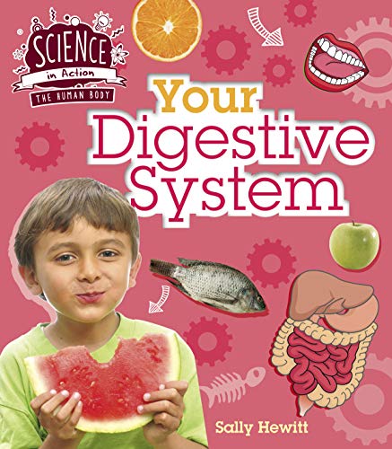 9781912413737: Human Body: Your Digestive System (Science in Action)