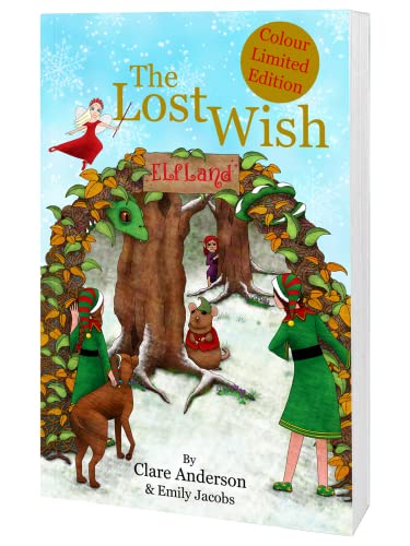 Stock image for The Lost Wish for sale by Reuseabook