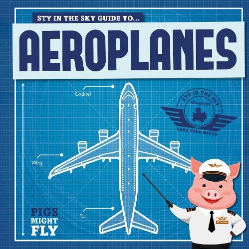 Stock image for Aeroplanes (Pigs Might Fly!) for sale by WorldofBooks