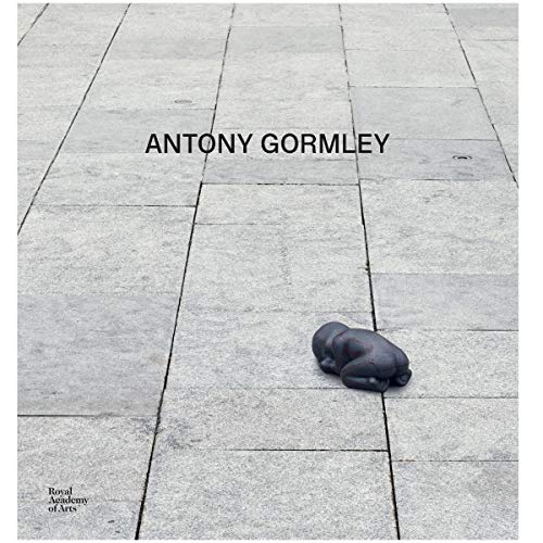 Beispielbild fr Antony Gormley zum Verkauf von Aardvark Rare Books