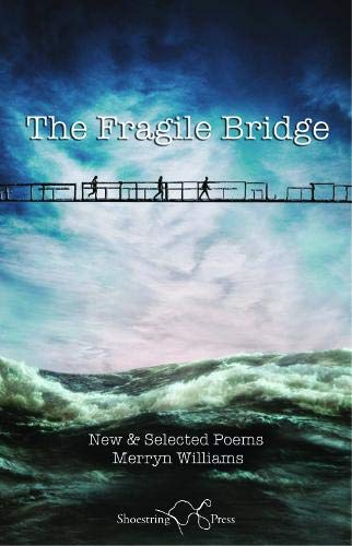 Beispielbild fr The Fragile Bridge zum Verkauf von Blackwell's