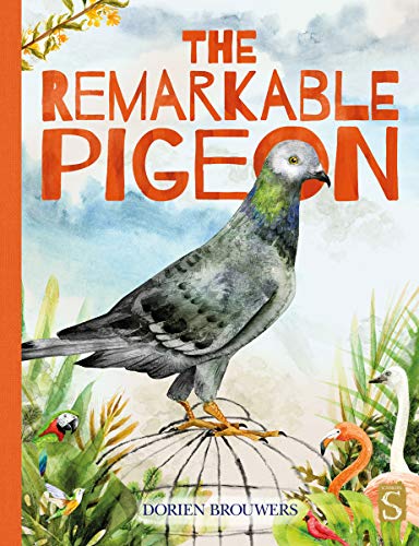 Beispielbild fr The Remarkable Pigeon Format: Hardback zum Verkauf von INDOO