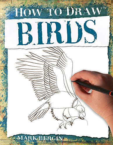 Stock image for How to Draw Birds for sale by Revaluation Books