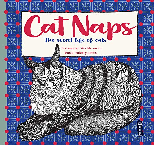 Stock image for Cat Naps: The Secret Life of Cats for sale by Revaluation Books