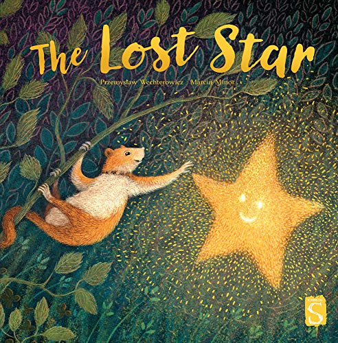 Beispielbild fr The Lost Star zum Verkauf von ThriftBooks-Atlanta