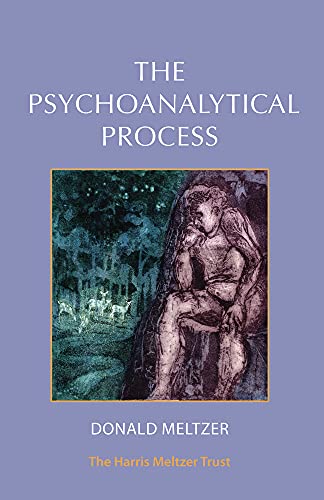 Beispielbild fr The Psychoanalytical Process zum Verkauf von Blackwell's