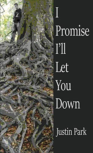 9781912578993: I Promise I'll Let You Down