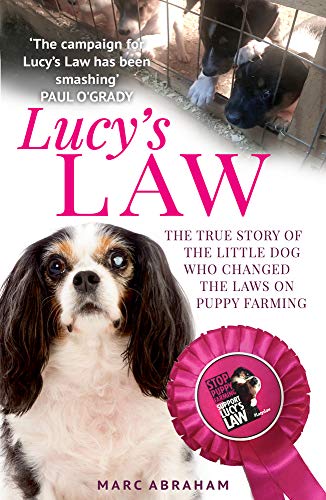 Imagen de archivo de Lucy's Law a la venta por Bookmonger.Ltd