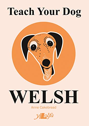 Beispielbild fr Teach Your Dog Welsh zum Verkauf von AwesomeBooks