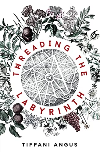 Imagen de archivo de Threading the Labryinth a la venta por Blue Vase Books