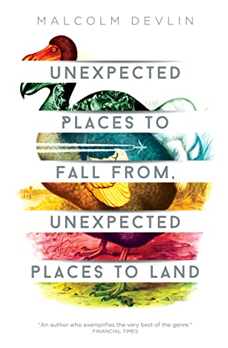 Imagen de archivo de Unexpected Places to Fall From, Unexpected Places to Land a la venta por WorldofBooks