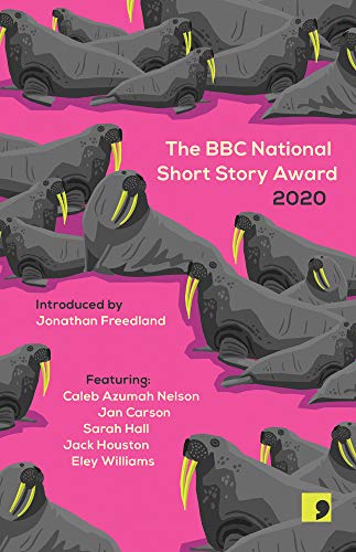 Stock image for The BBC National Short Story Award 2020 for sale by Reuseabook