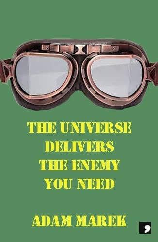 Stock image for The Universe Delivers The Enemy You Need (Paperback) for sale by Grand Eagle Retail