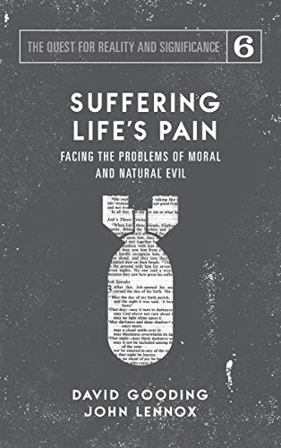 Beispielbild fr Suffering Life's Pain: Facing the Problems of Moral and Natural Evil (6) (Quest for Reality and Significance) zum Verkauf von BooksRun