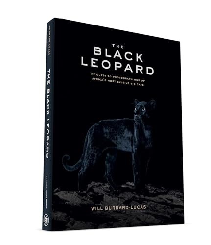 Imagen de archivo de The Black Leopard: My Quest to Photograph One of Africa?s Most Elusive Big Cats a la venta por Bahamut Media