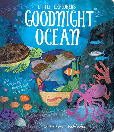 Stock image for Goodnight Ocean for sale by THE SAINT BOOKSTORE