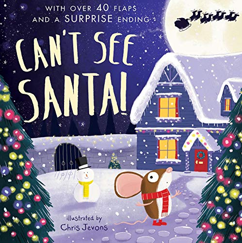 Beispielbild fr Can't See Santa! zum Verkauf von AwesomeBooks