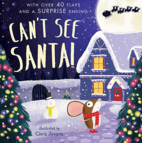 Stock image for Can't See Santa! for sale by AwesomeBooks