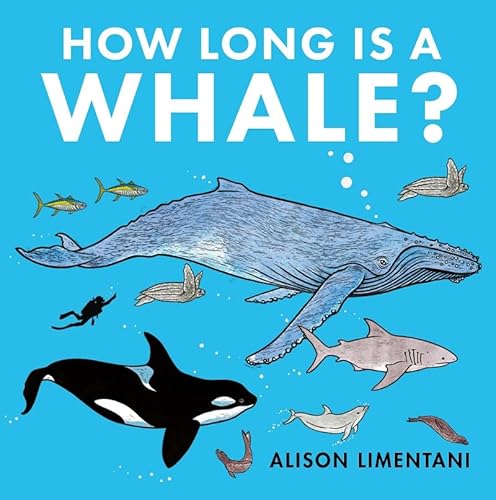 Beispielbild fr How Long is a Whale (Wild facts and Amazing Maths ) zum Verkauf von WorldofBooks
