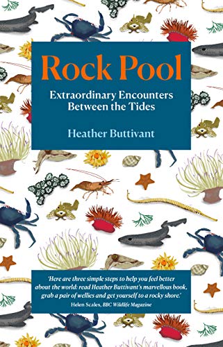 Stock image for Rock Pool: Extraordinary Encounters Between the Tides for sale by WorldofBooks