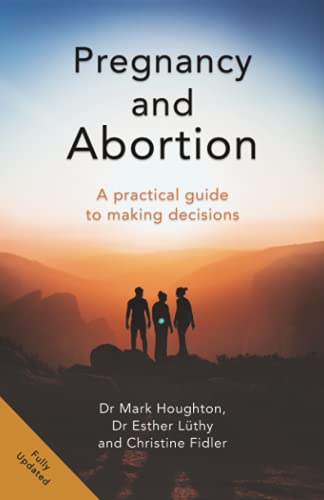 9781912863198: A Guide to Pregnancy and Abortion: For Those Who Are Pregnant, Partners, Professionals and Policy Makers: A Practical Guide to Making Decisions