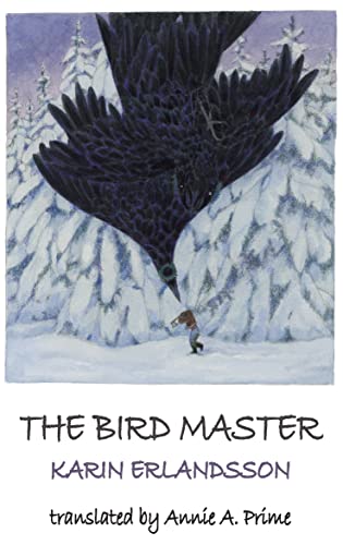 9781912868742: The Bird Master: 2 (Song of the Eye Stone)