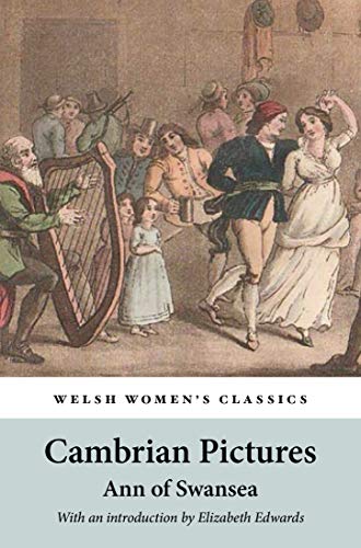 Stock image for Cambrian Pictures or Every One Has Errors for sale by Blackwell's