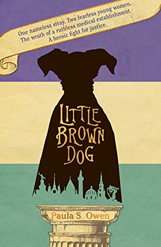 Imagen de archivo de Little Brown Dog a la venta por WorldofBooks