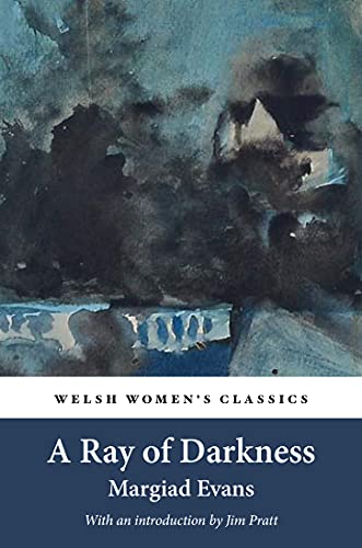 Stock image for A Ray Of Darkness for sale by GreatBookPrices