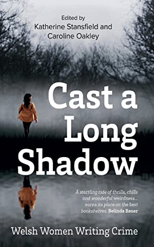 Imagen de archivo de Cast a Long Shadow a la venta por WorldofBooks