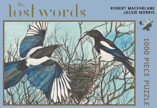Stock image for Lost Words, The (Magpies) for sale by Monster Bookshop