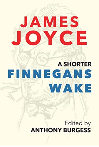 Stock image for A Shorter Finnegans Wake for sale by HPB-Ruby