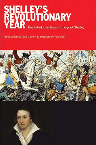 Stock image for Shelley's Revolutionary Year for sale by WorldofBooks