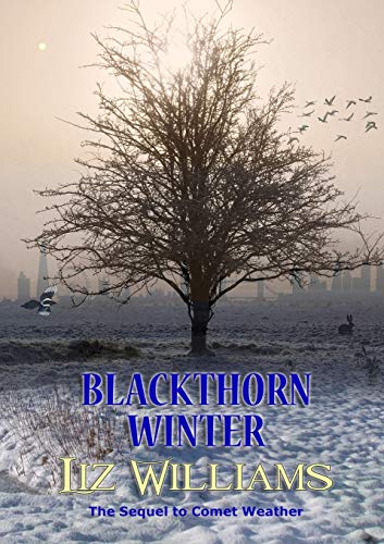 Stock image for Blackthorn Winter for sale by Goodwill Southern California