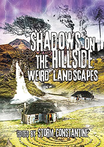 Imagen de archivo de Shadows on the Hillside a la venta por Lucky's Textbooks