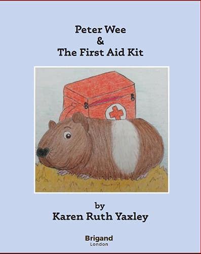 9781912978311: Peter Wee & The First Aid Kit