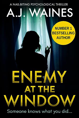 Stock image for Enemy at the Window : A Nail-Biting Psychological Thriller for sale by Better World Books